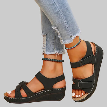 Variant image for J-KOIQM2-001