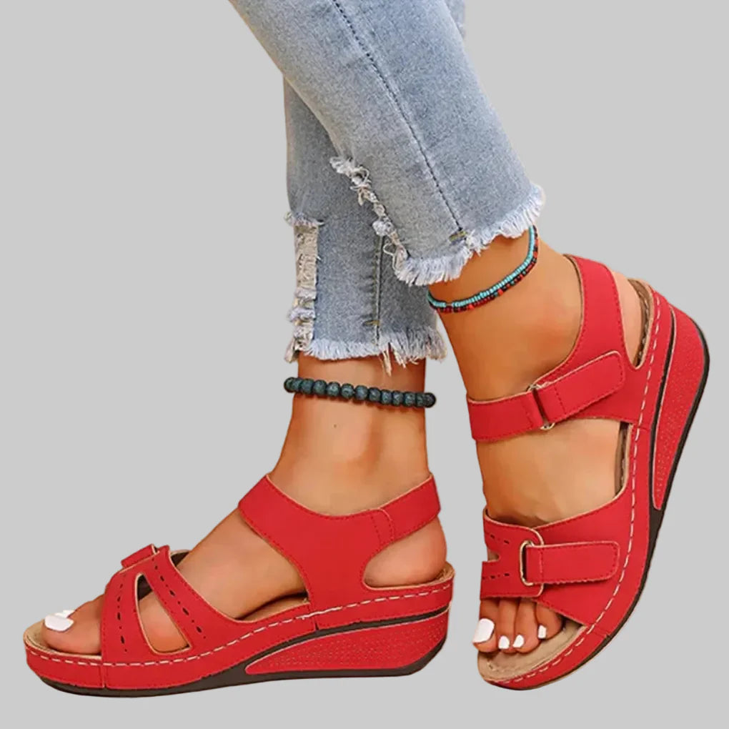 Variant image for J-KOIQM2-010